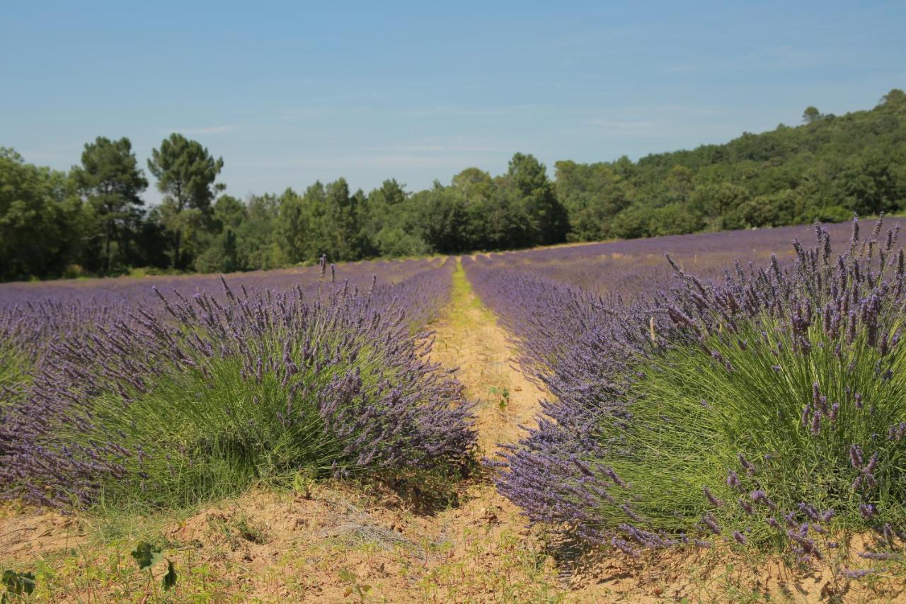 Les Yourtes De Provence Acomodação com café da manhã Saint-Paulet-de-Caisson Exterior foto